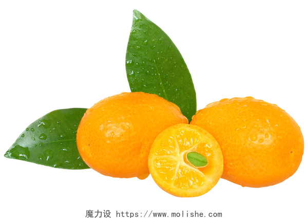 白色背景前切开的金橘与叶近了孤立的切片的金橘.